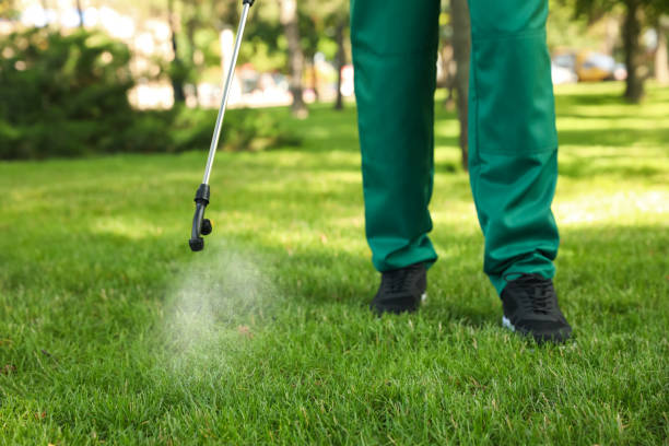 Best Wildlife Control Services  in Ravensworth, VA