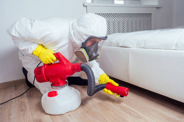 Professional Pest Control in Ravensworth, VA