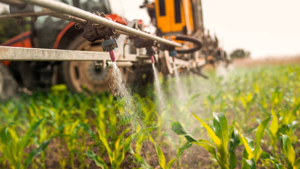 Best Pest Removal Services  in Ravensworth, VA